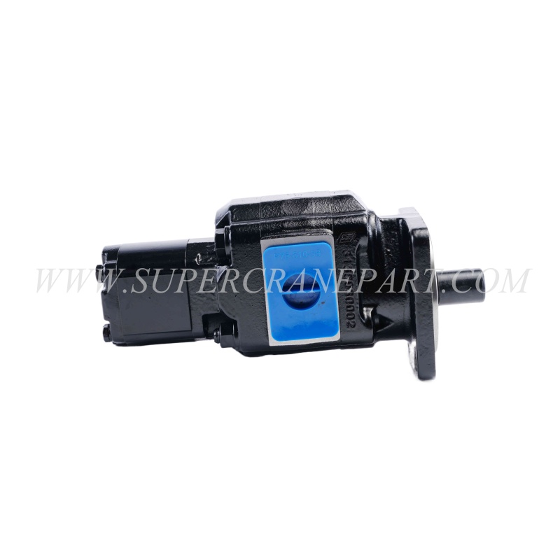 60286578 Duplex Gear Pump Set P51B578I1817-07-511AO160XB1D4B