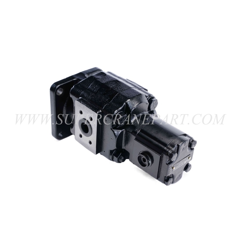60286578 Duplex Gear Pump Set P51B578I1817-07-511AO160XB1D4B