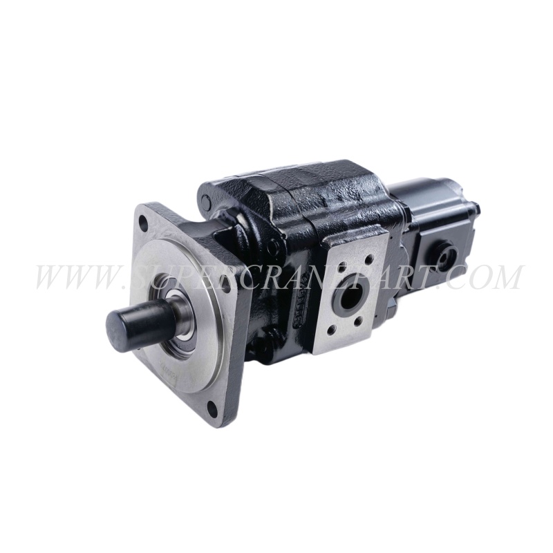 60286578 Duplex Gear Pump Set P51B578I1817-07-511AO160XB1D4B