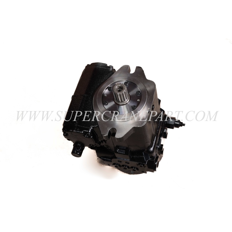 60213439 Closed Plunger Pump