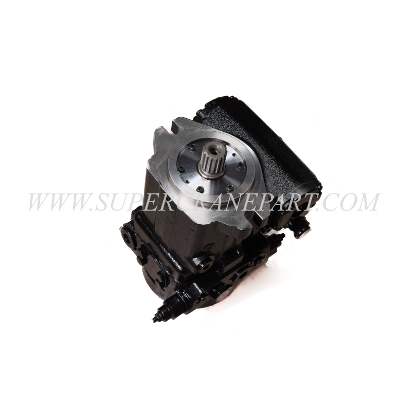 60213439 Closed Plunger Pump