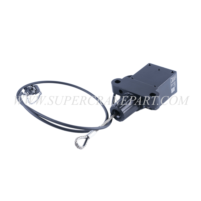 140525000065A Limit Switch L-S-NO-4mm ZN101W