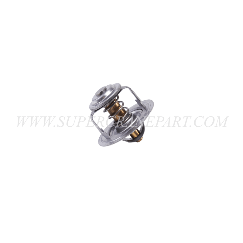 60289498 Thermostat