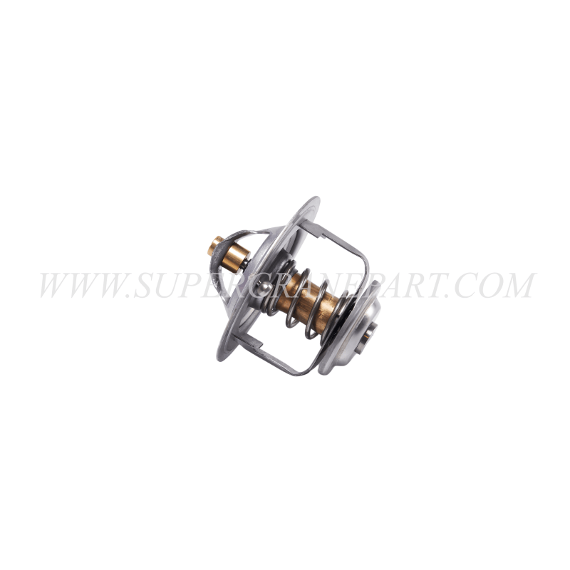 60289498 Thermostat