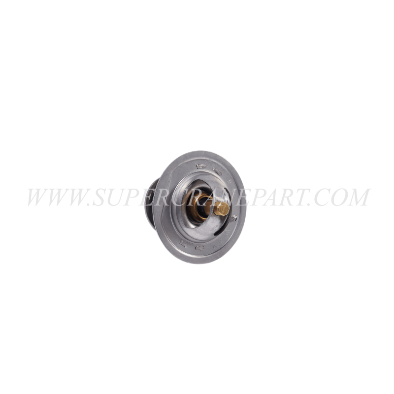 60289498 Thermostat